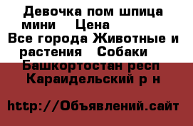 Девочка пом шпица мини  › Цена ­ 30 000 - Все города Животные и растения » Собаки   . Башкортостан респ.,Караидельский р-н